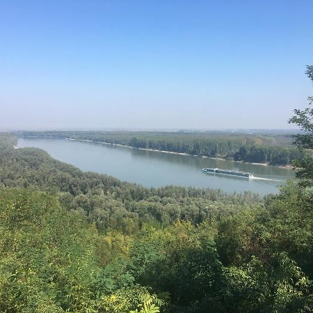 Kuca Za Odmor Brzica Erdut Villa ภายนอก รูปภาพ