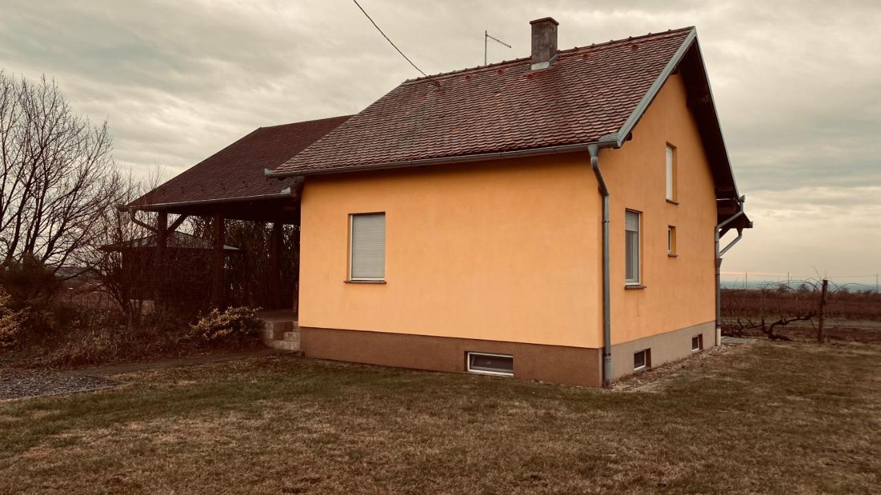 Kuca Za Odmor Brzica Erdut Villa ภายนอก รูปภาพ